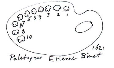 reconstructie paletindeling etienne binet 1621