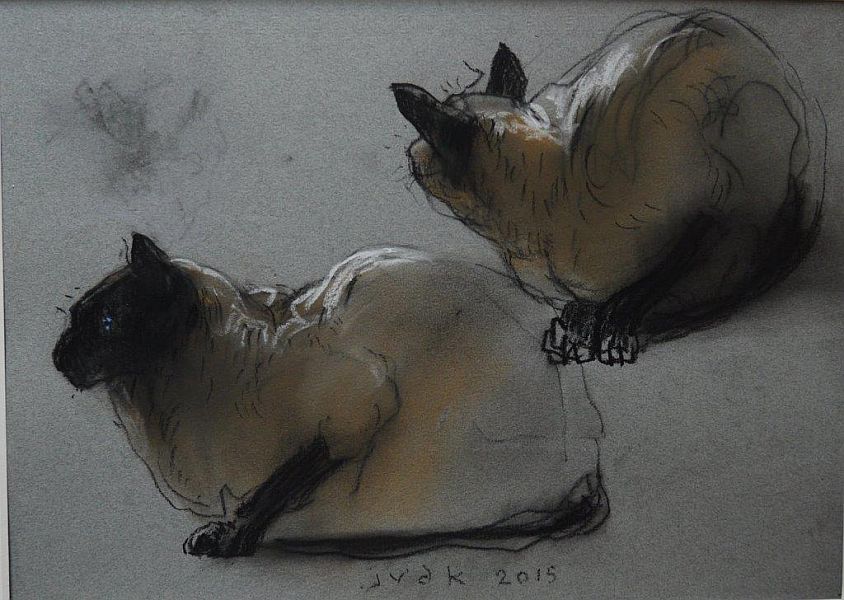 voorbeeld van withoging