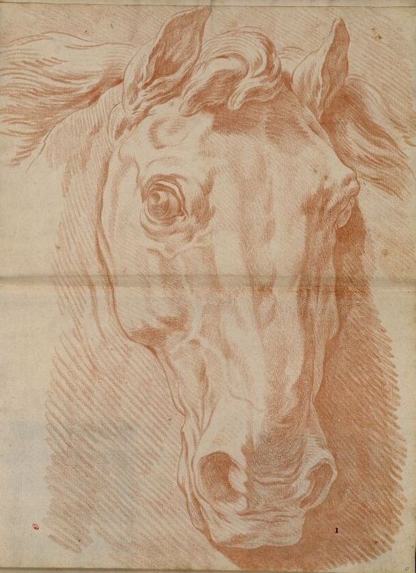 studietekening lichtgetint sanguinekrijt  P.-J. Antoine