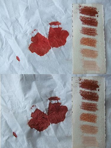 Bloed(vers en oud)- & sanguinekrijt-kleuren